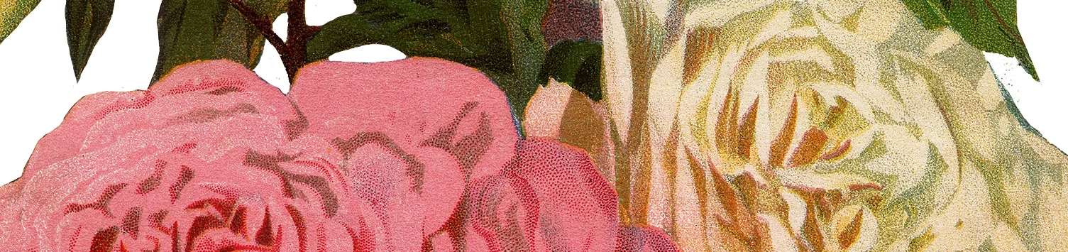 flowers.jpg