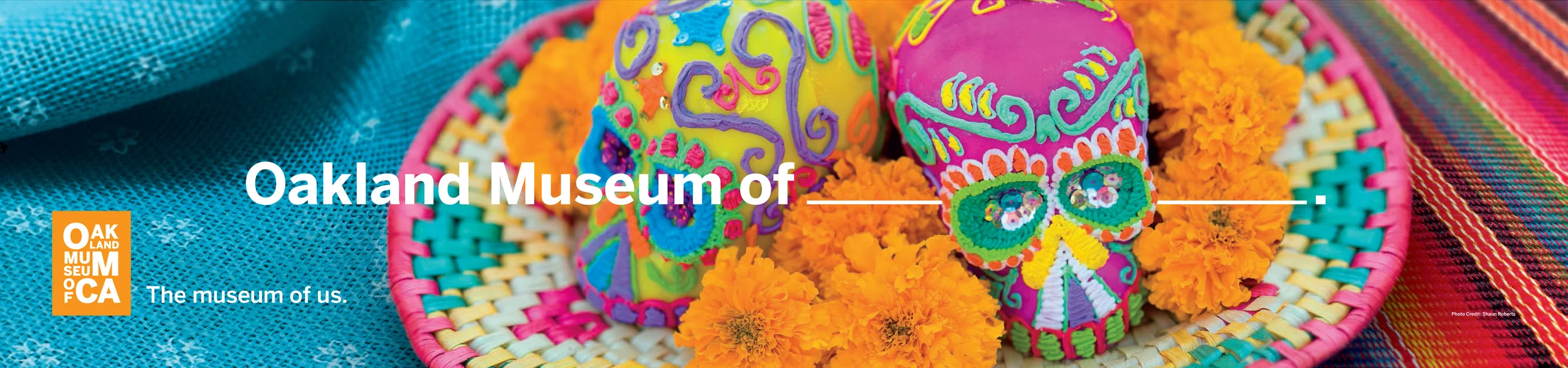 OMCA - Skull 300 DPI OOH.jpg