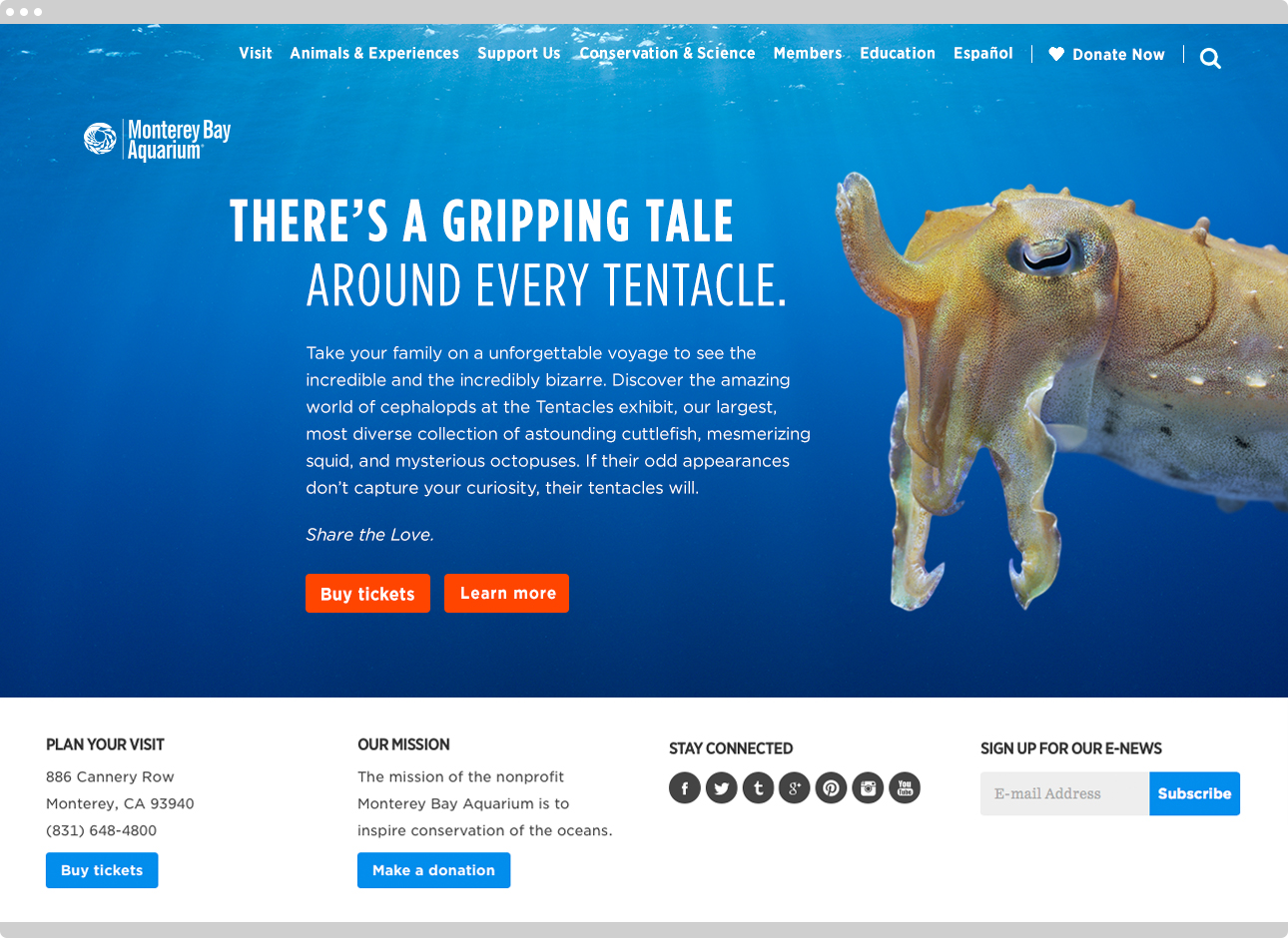 Tentacles Exhibit LP 1 with Browser.png