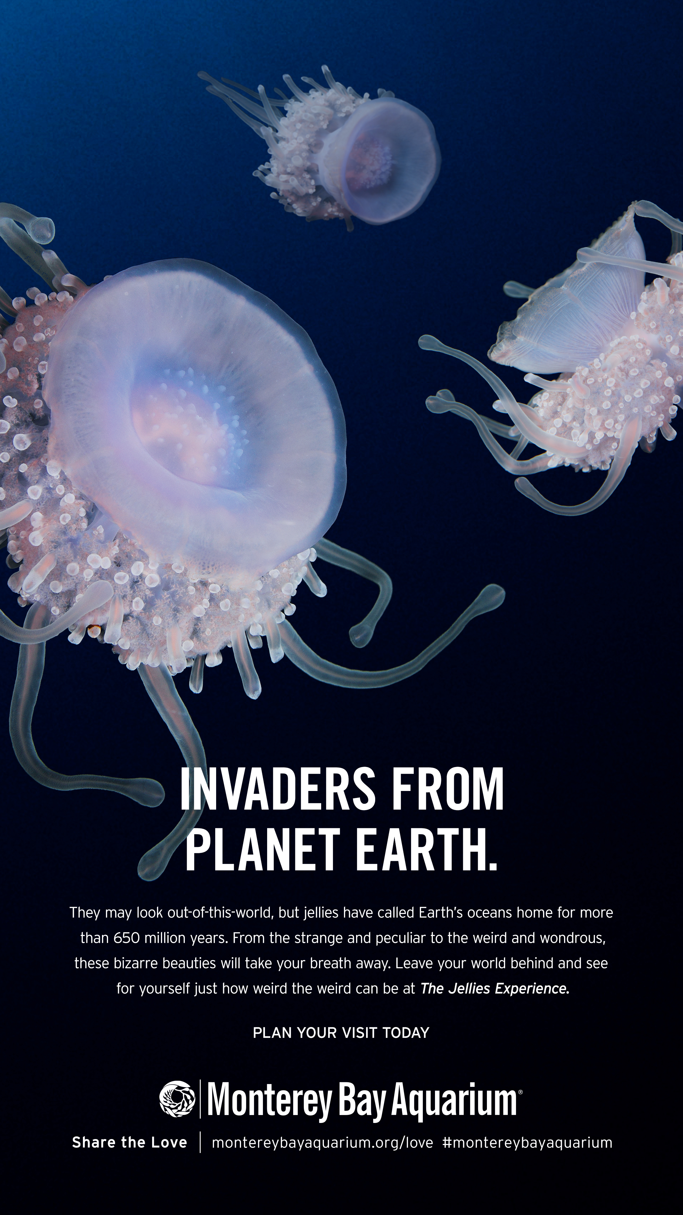 Jellies Experience Bus Shelter 1.jpg