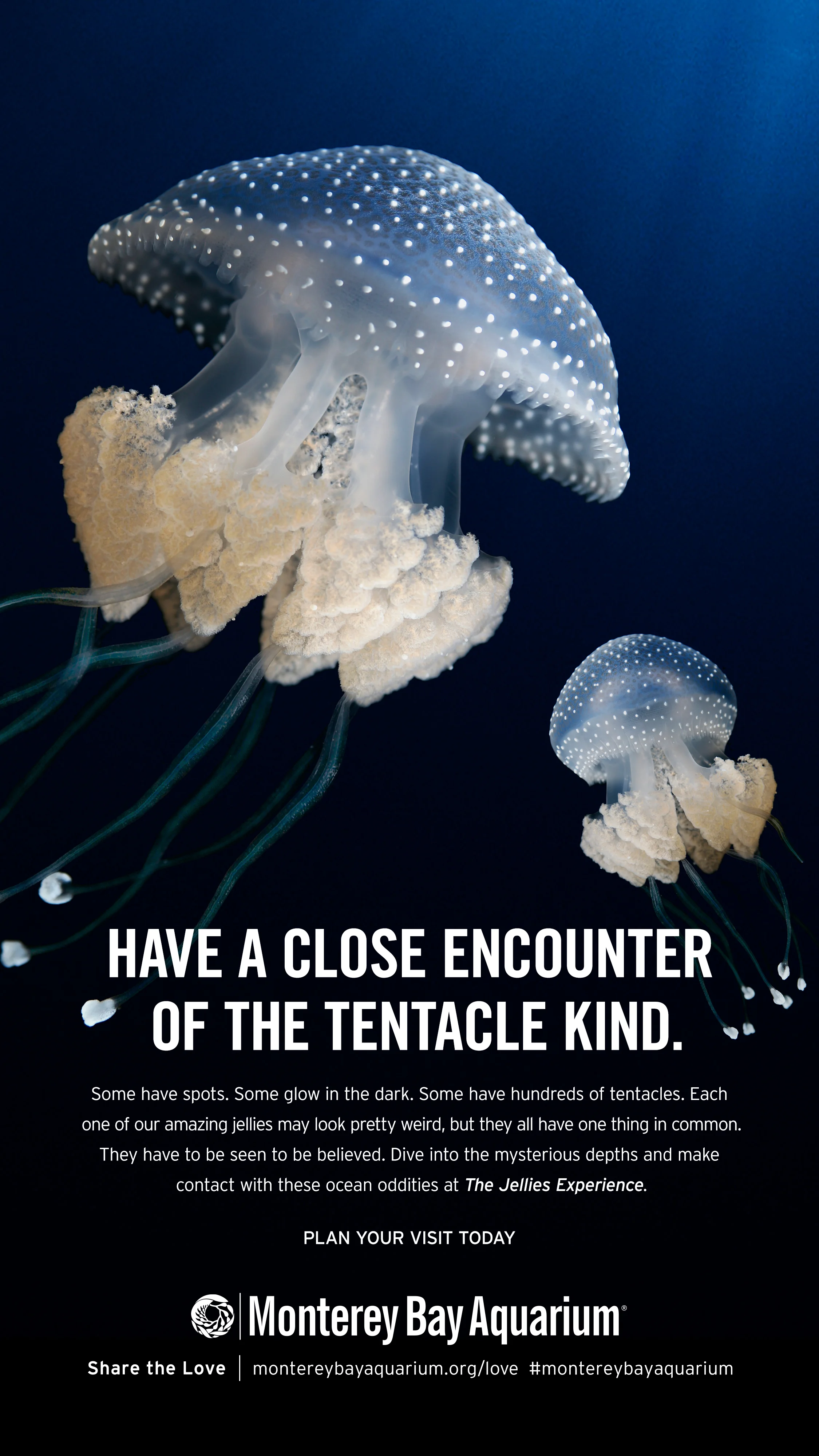 Jellies Experience Bus Shelter 2.jpg