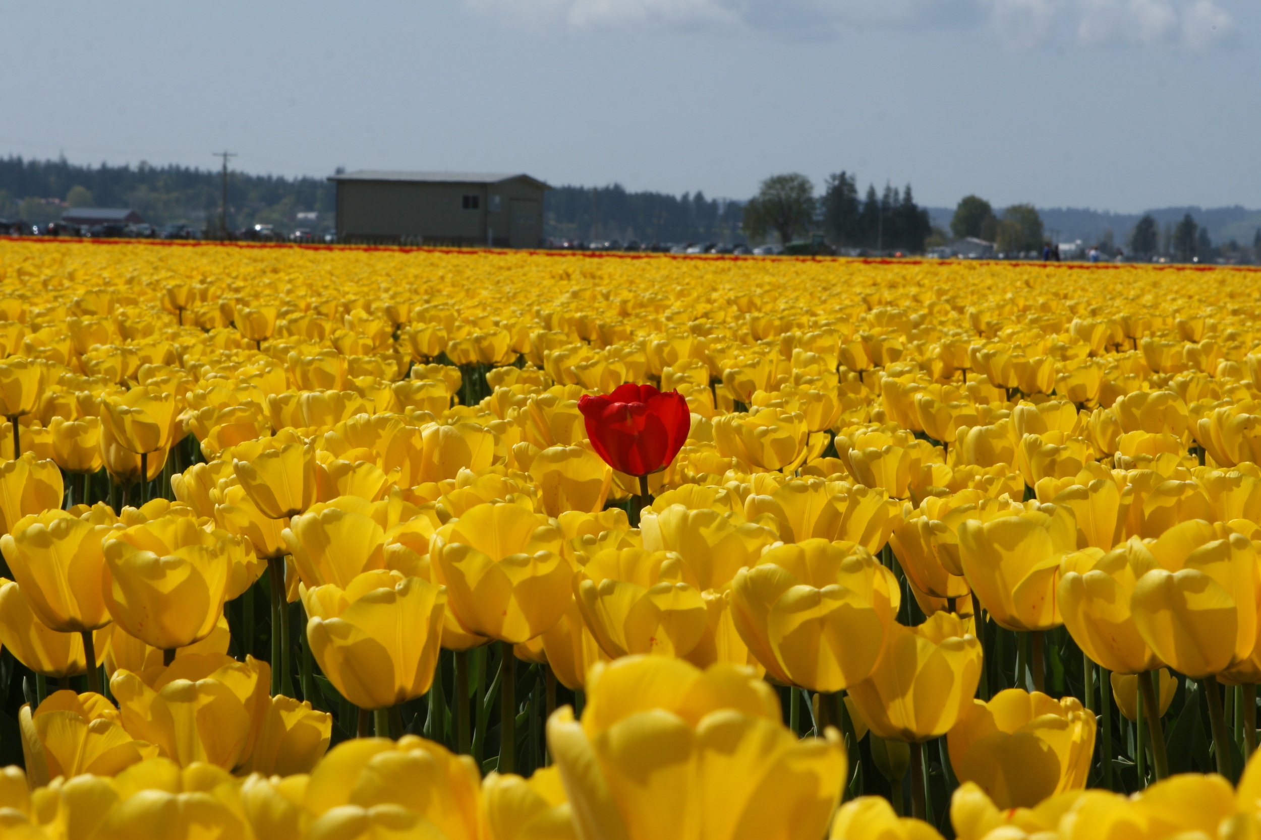 2009042613_36_330381.JPG