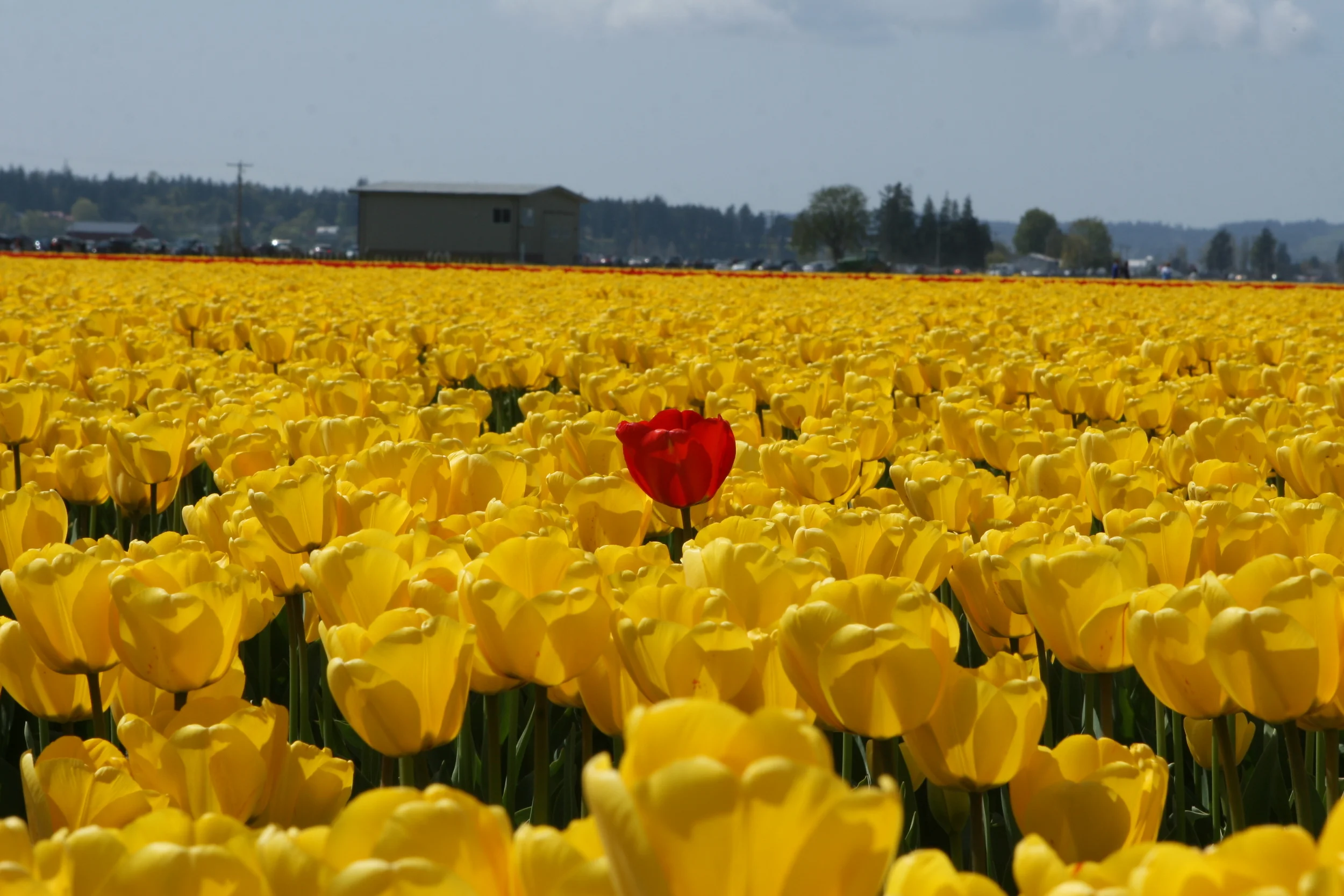 2009042613_36_330381.JPG
