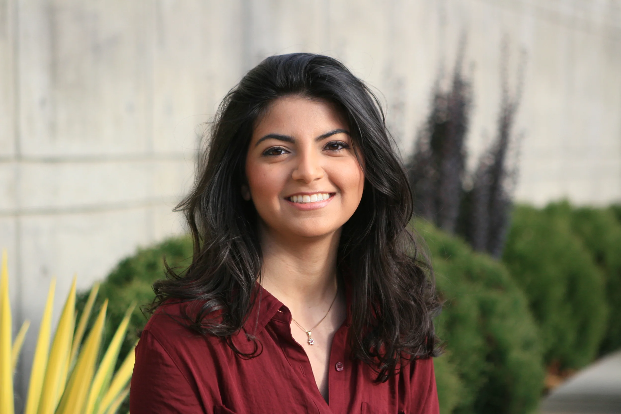 Bellevue Downtown Park