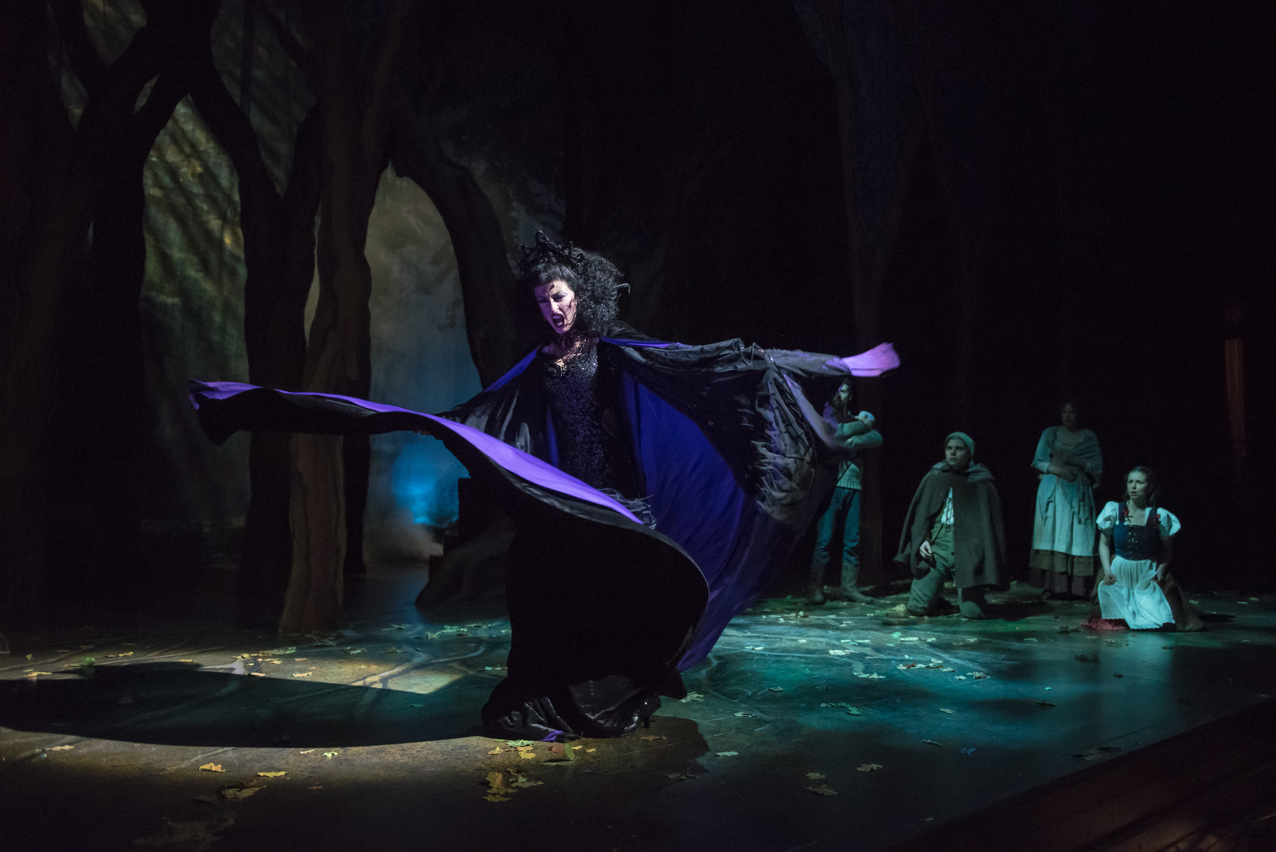 Skylight Into the Woods Rehearsal-83.jpg