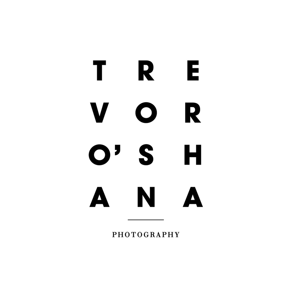 TO_LOGO.gif