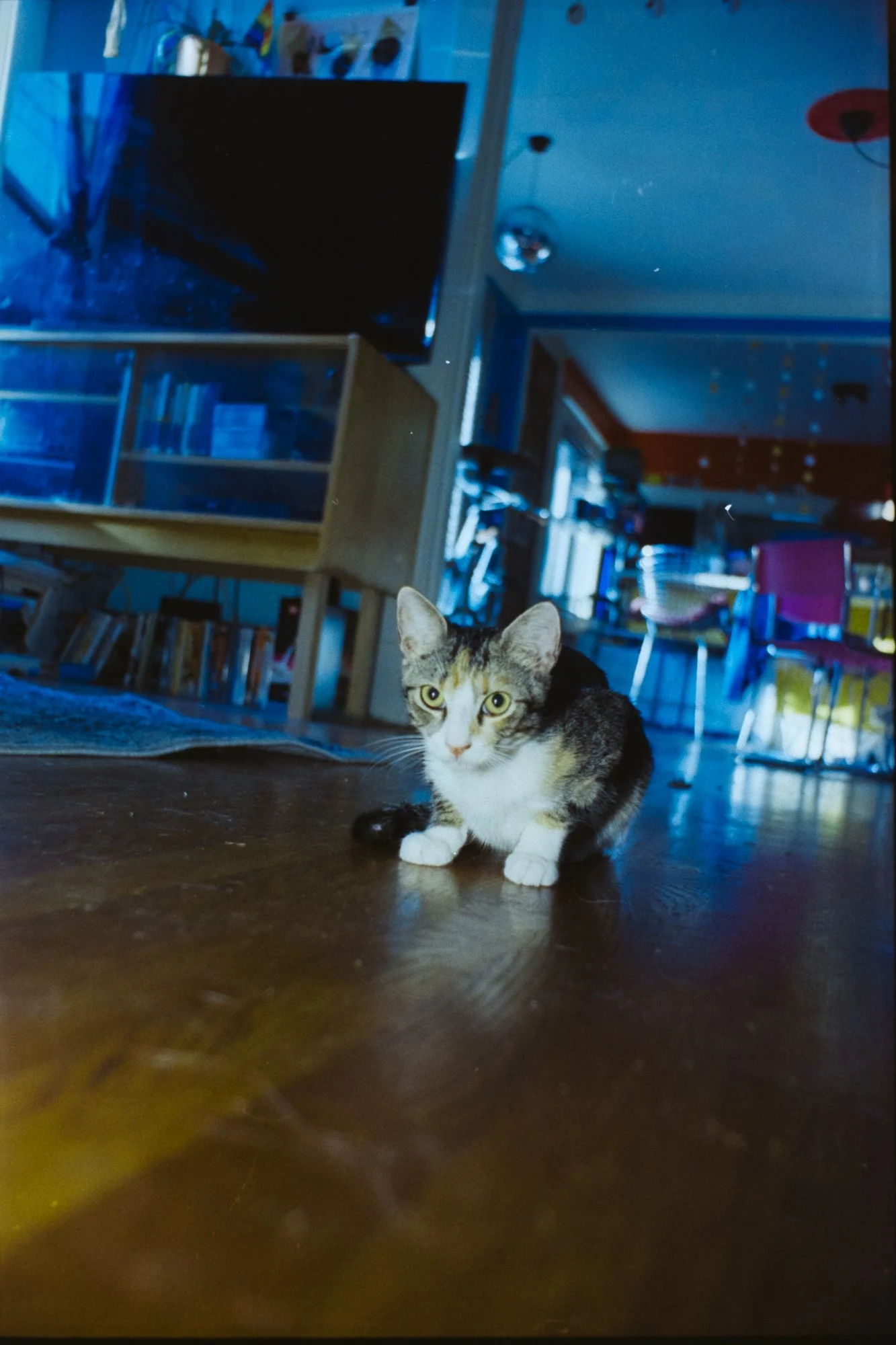 Portrait-03.jpg