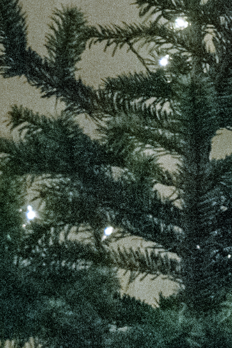 Our christmas tree in grainy detail