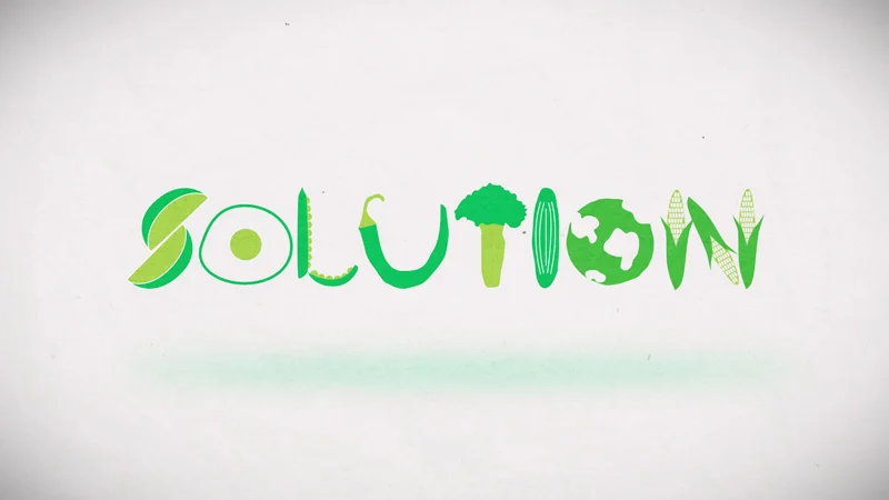 solution_web.jpg