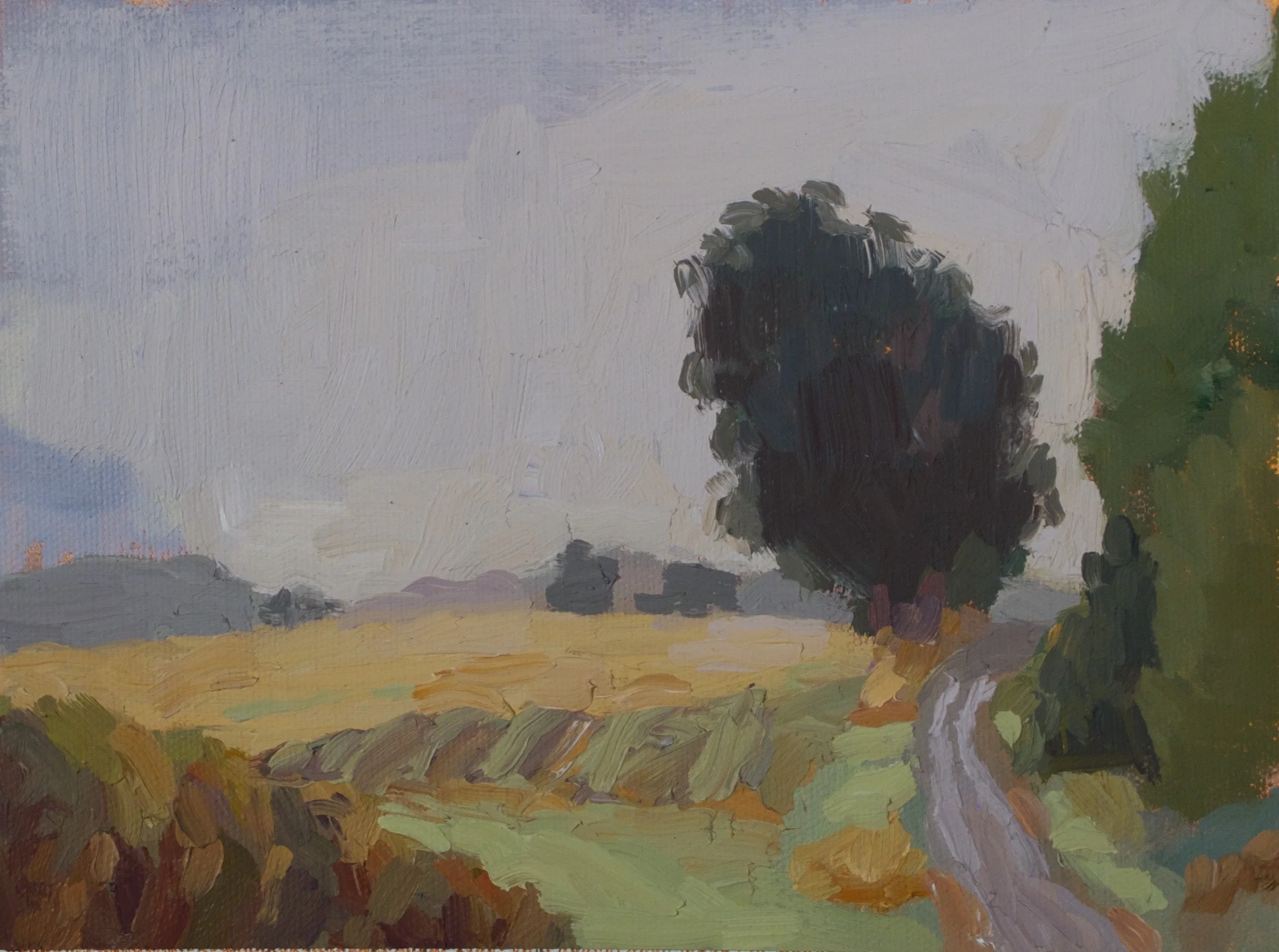 Rainy Day, Sauvie Island