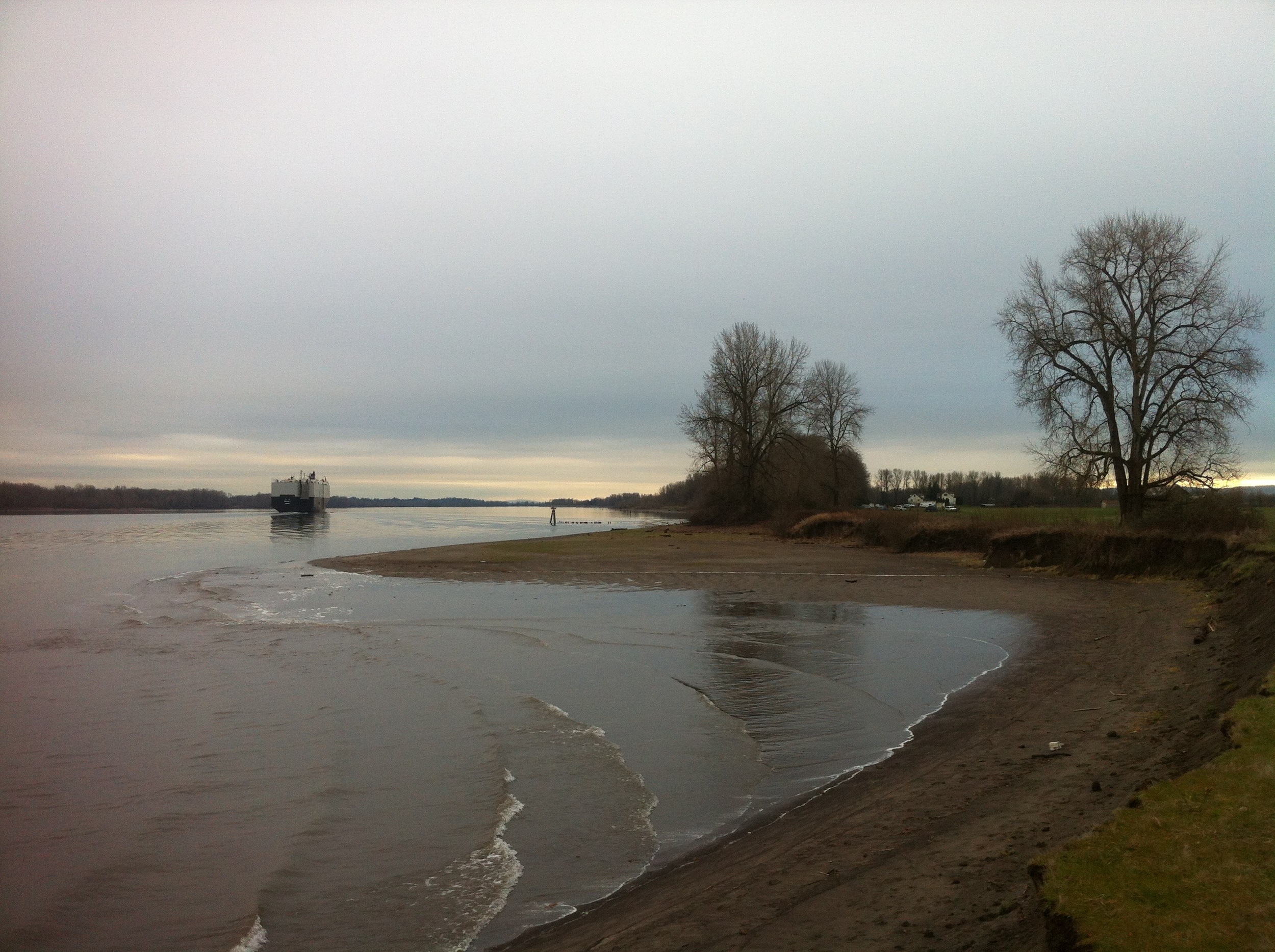 Sauvie Island View