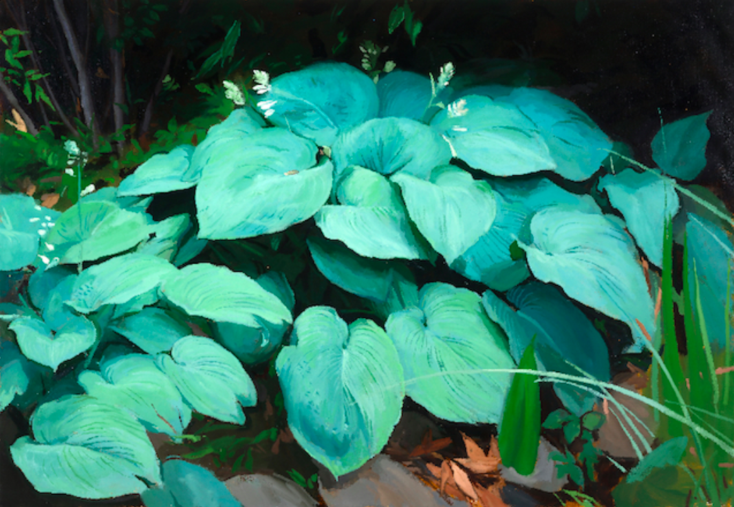 Juno, 32 x 36, oil on canvas