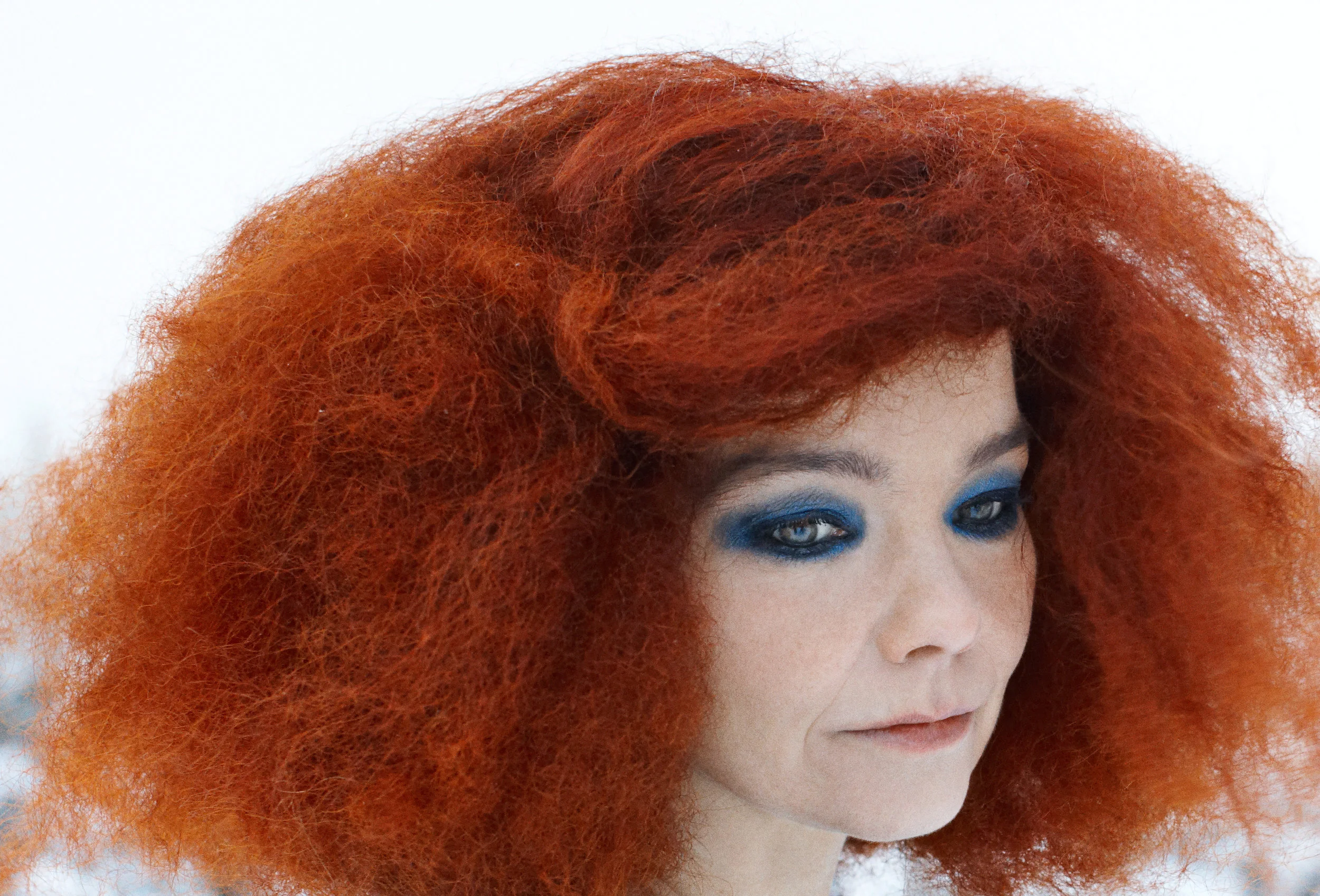 Ari_Magg_Björk_02.jpg