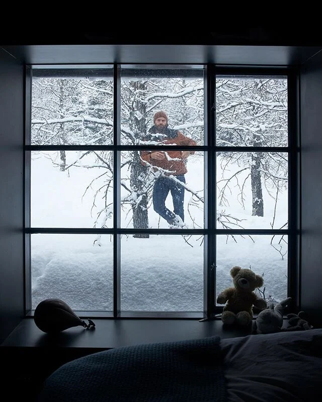 king of the cabin