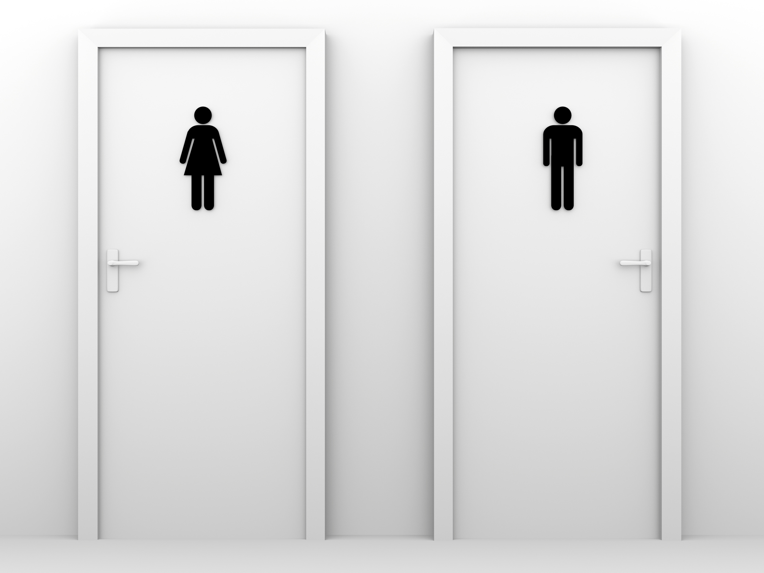 Toilet doors