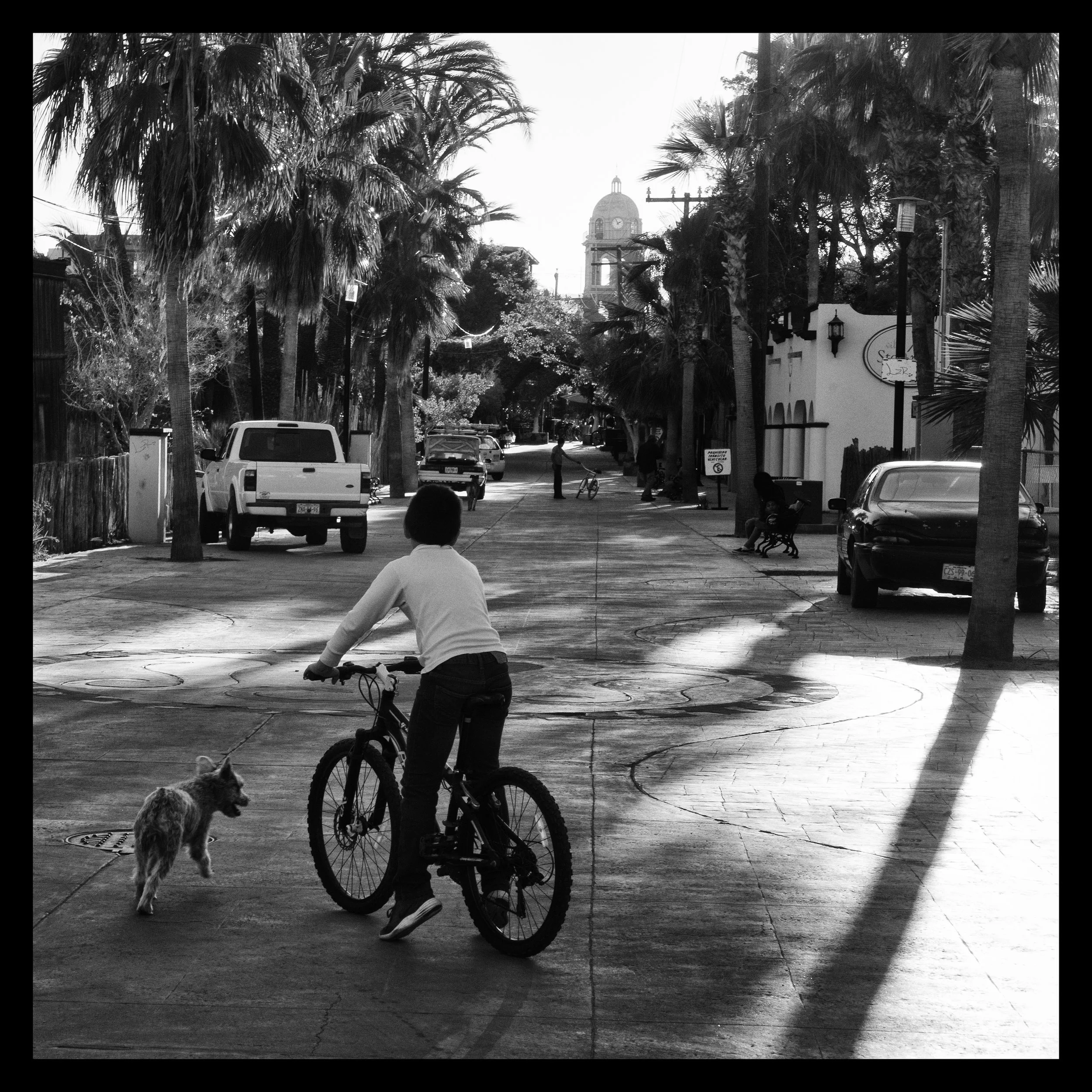 The Chase