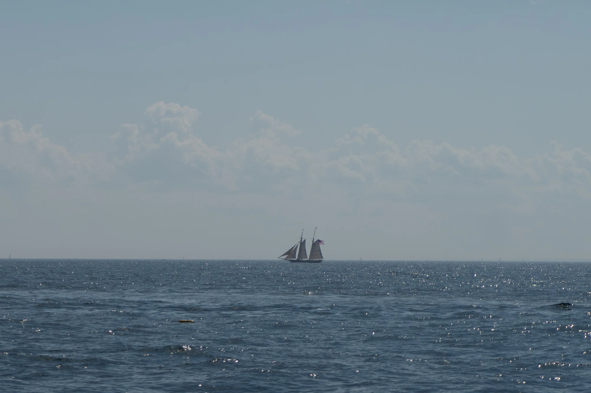 Sail Ho!