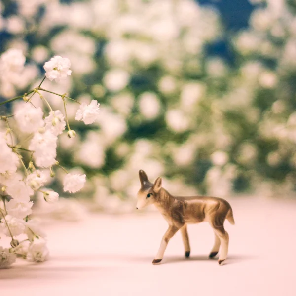 2014_Babys-Breath-Doe.jpg