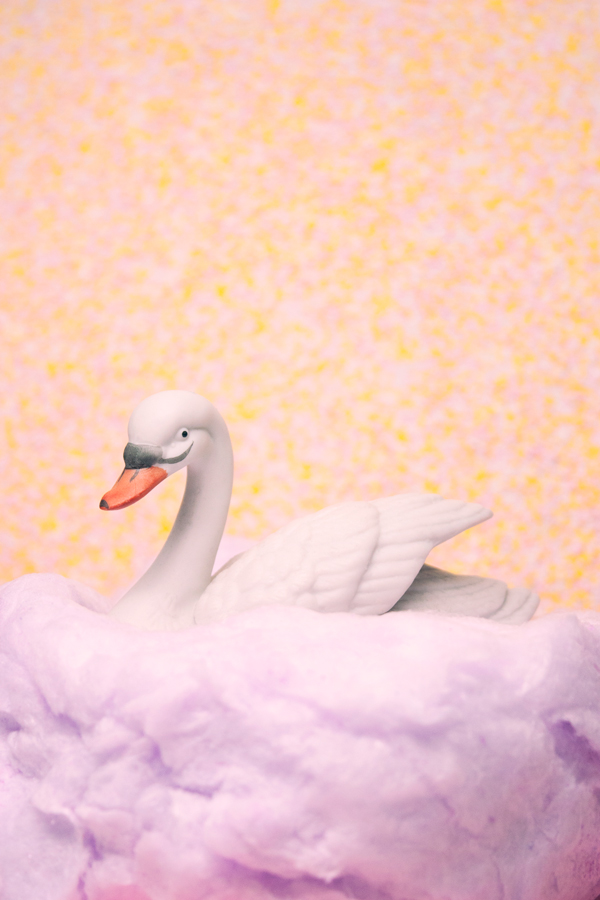 2014_Candy-Swan.jpg