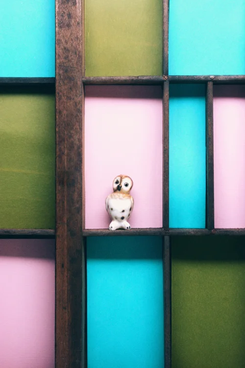 Color-Block-Owl.jpg