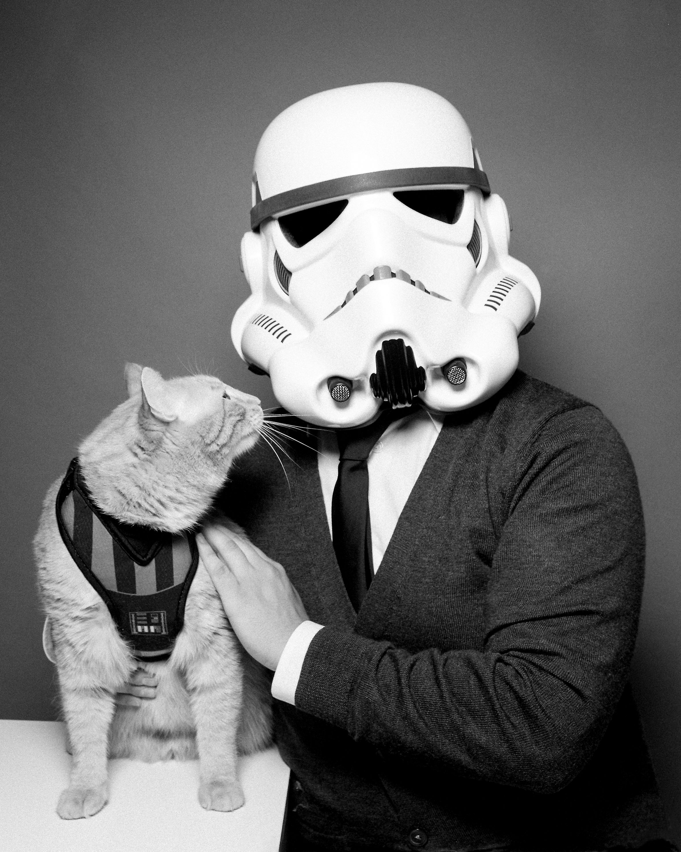 Tiny Deer Studio Portrait - Star Wars - Cat - Storm Trooper.jpg
