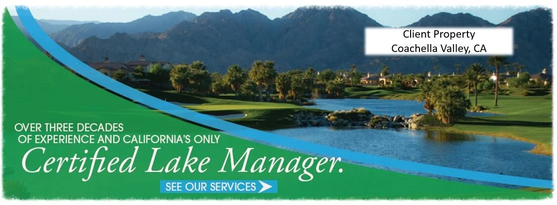 Homepage - Lake_Management_Services.JPG