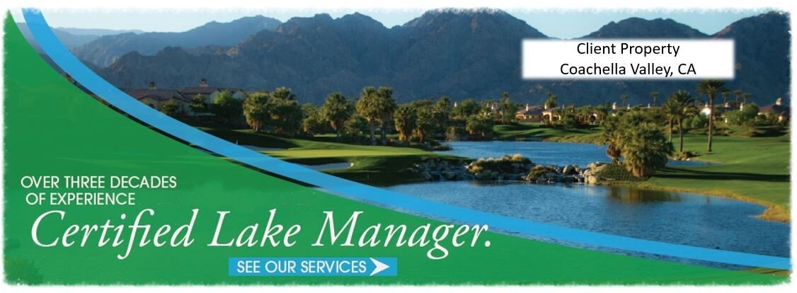 Homepage+-+Lake_Management_Services.jpg