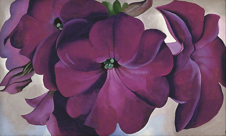 Petunias