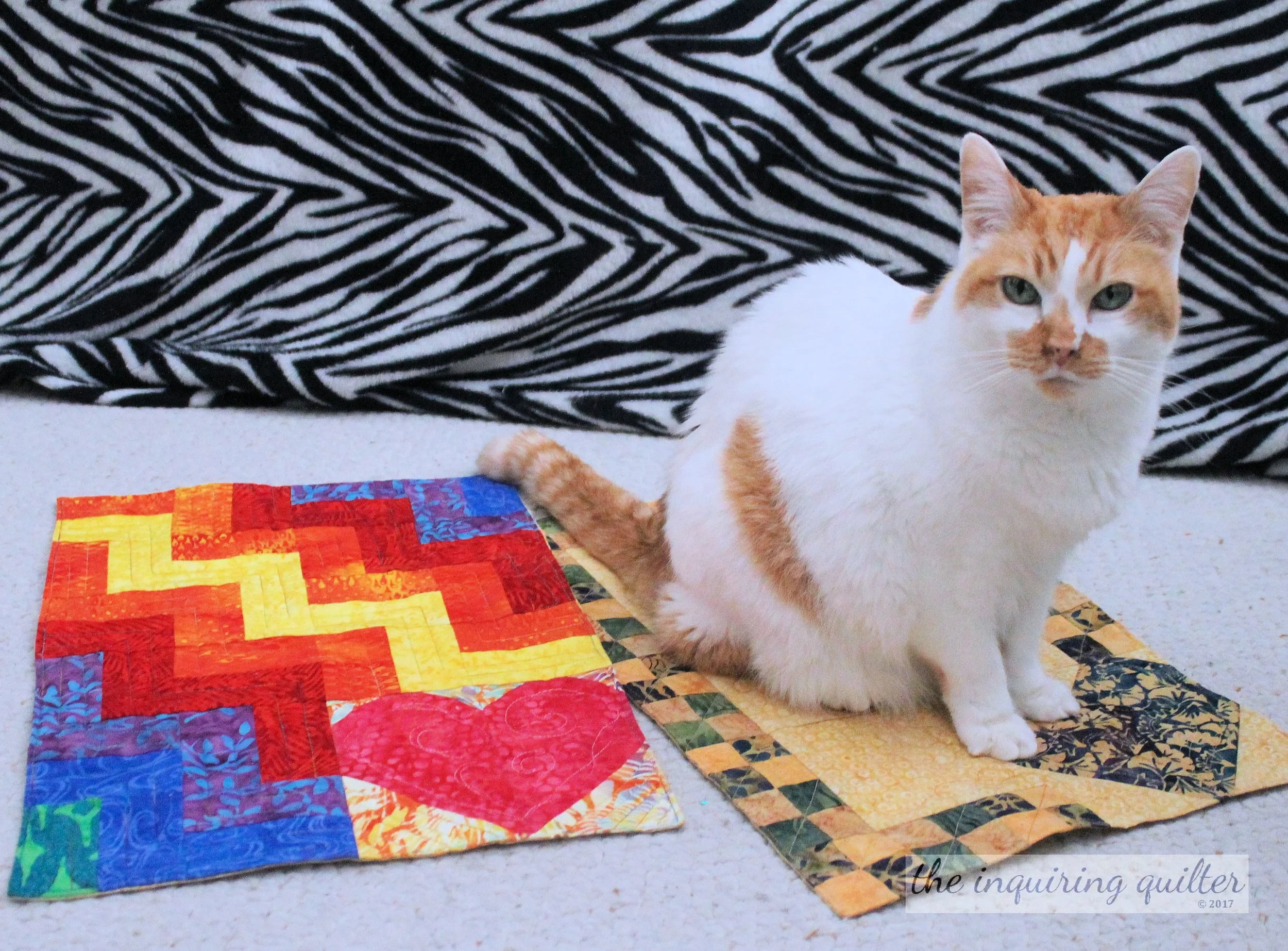 Kennel quilts