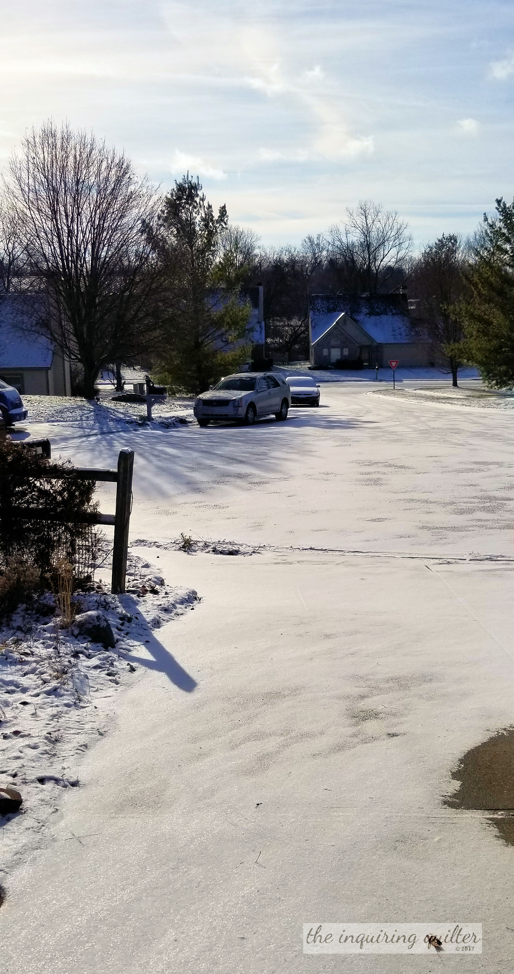 Snow 1.jpg