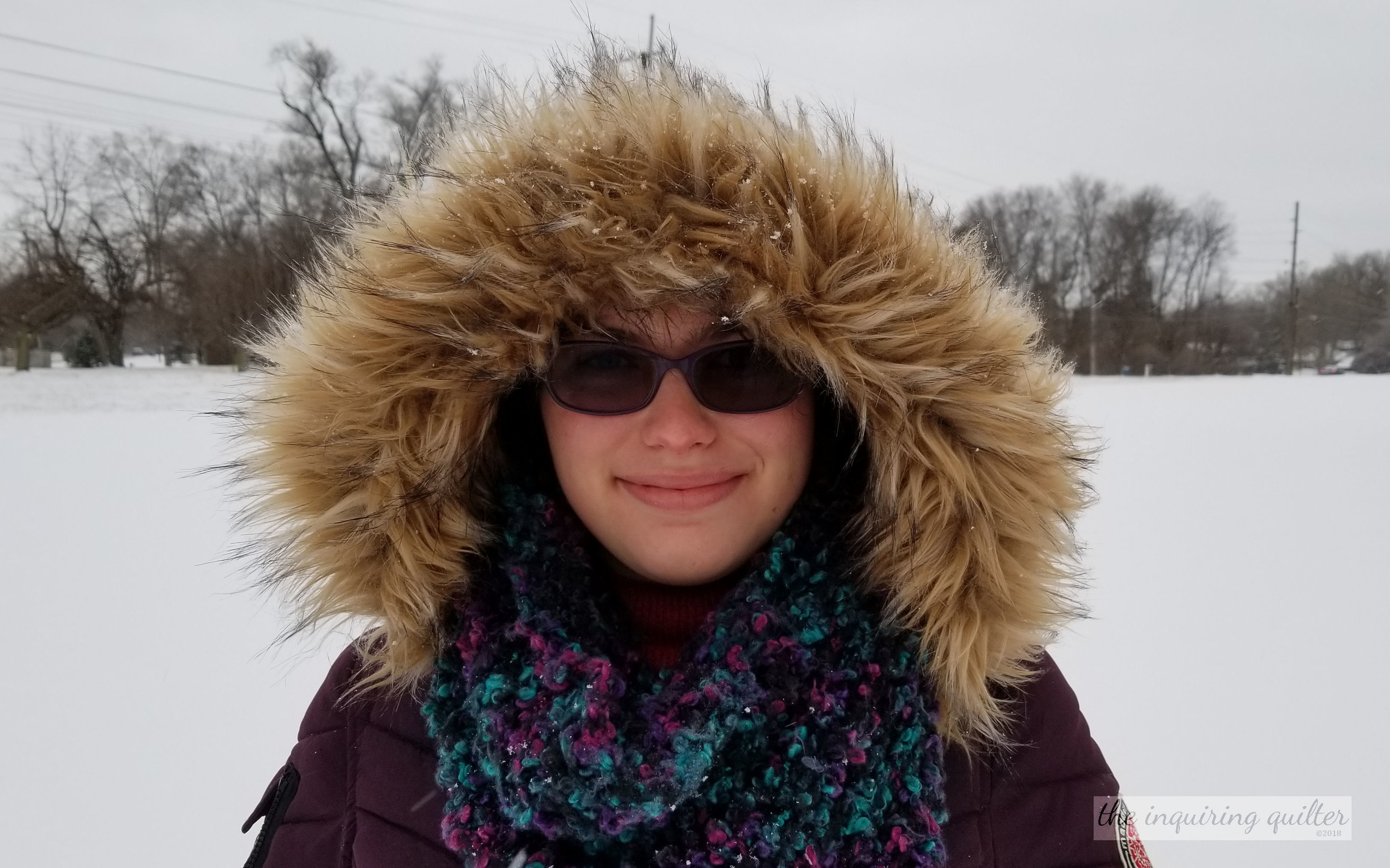 Snow January 2018 01.jpg