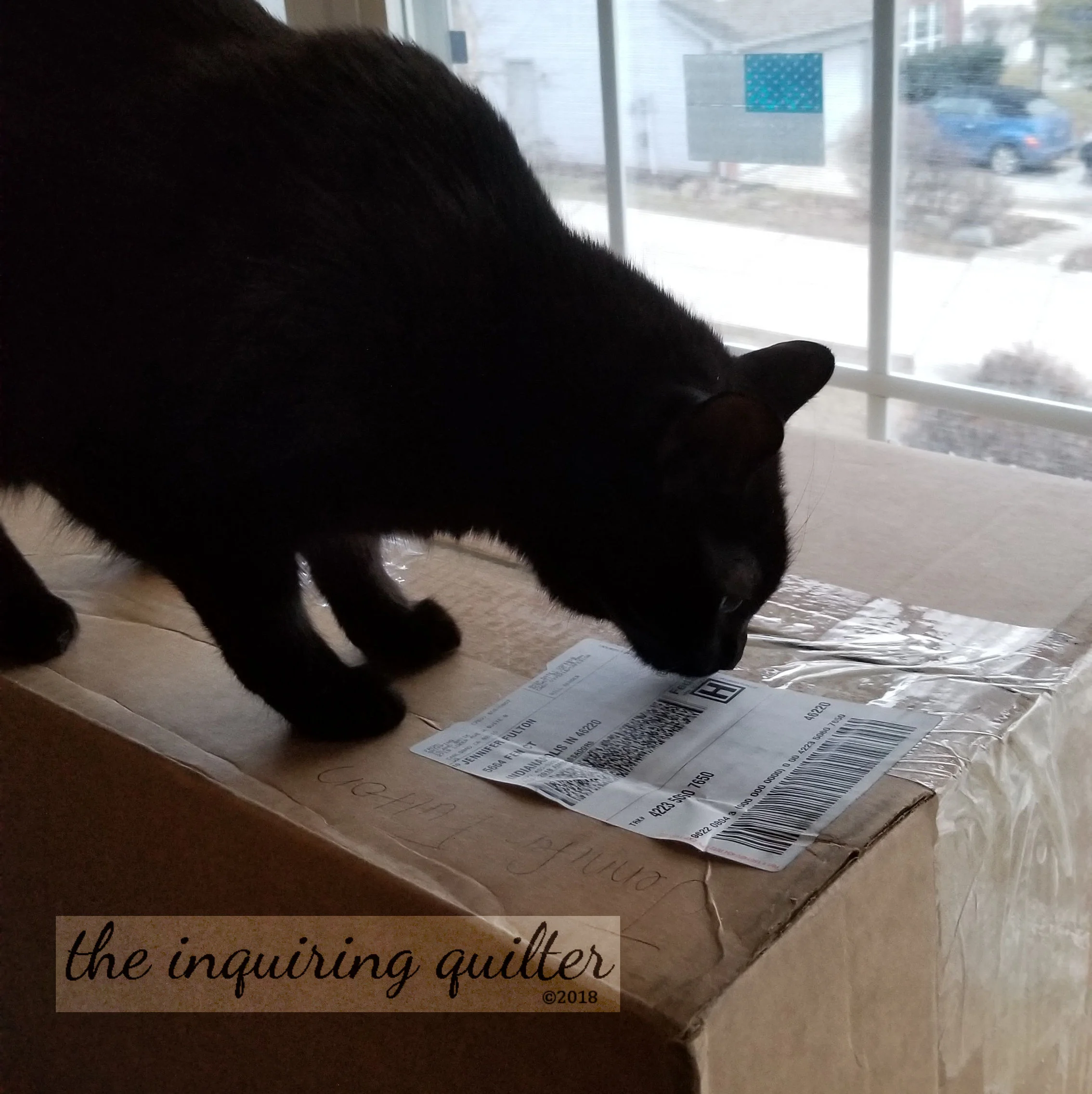 Did you say this was a box of "cat-iks?"