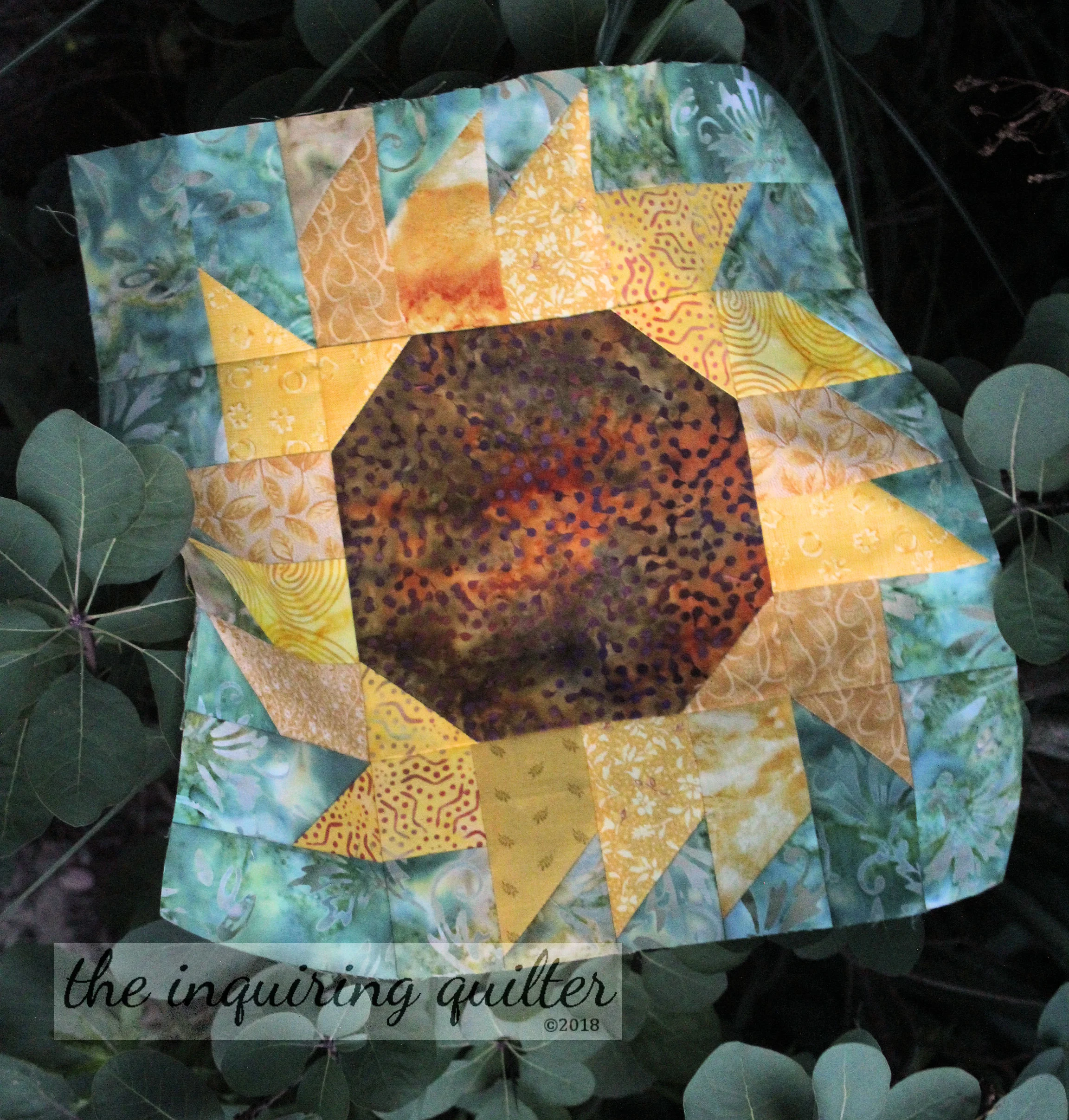 Sunflower 11.jpg