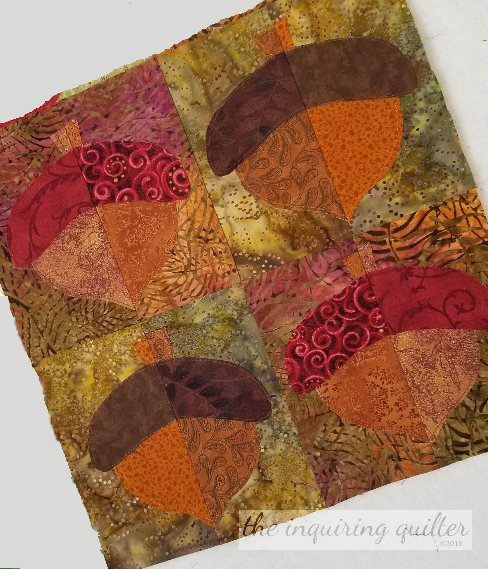 Acorn block 10.jpg