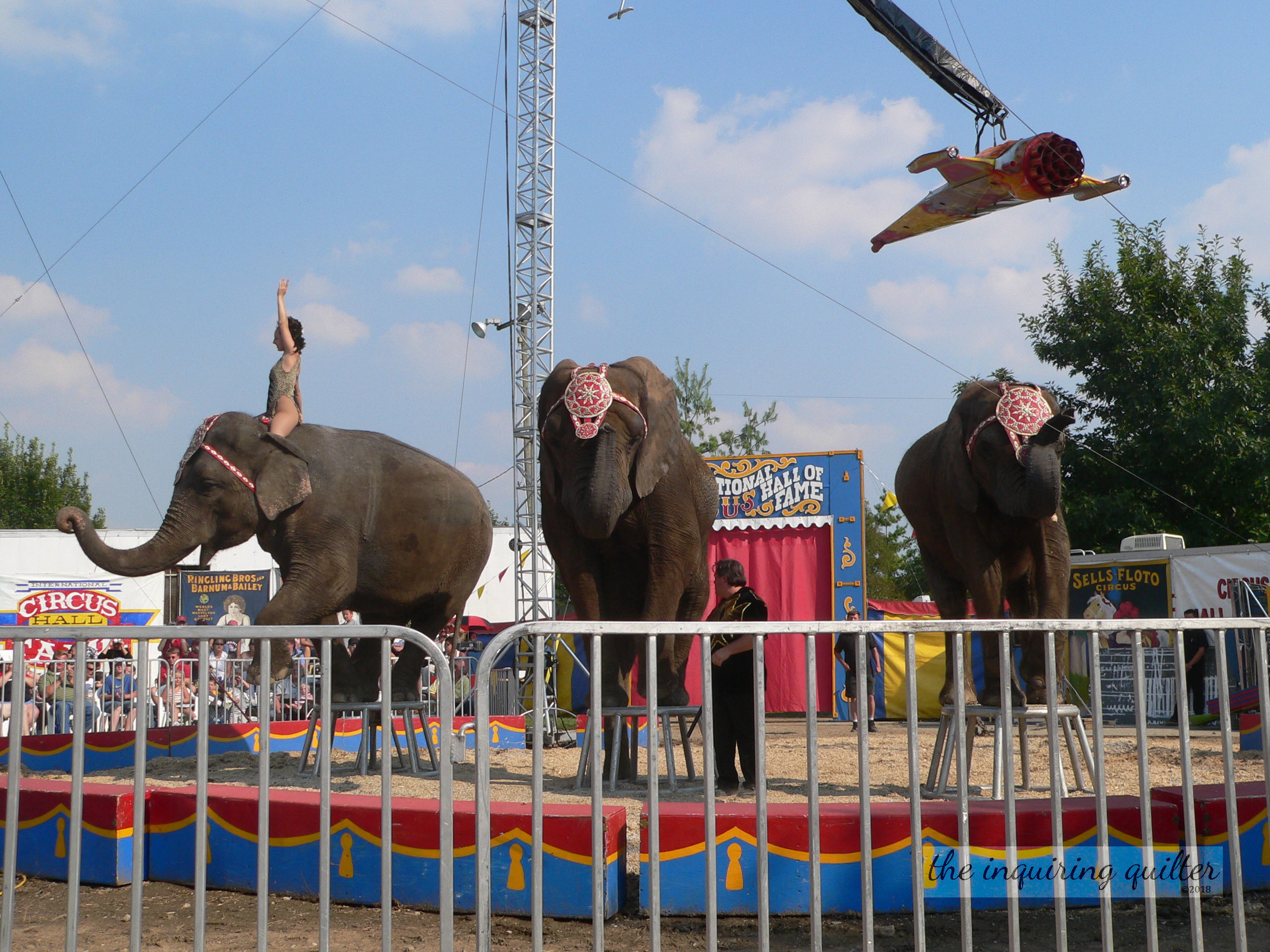 Circus 1.jpg