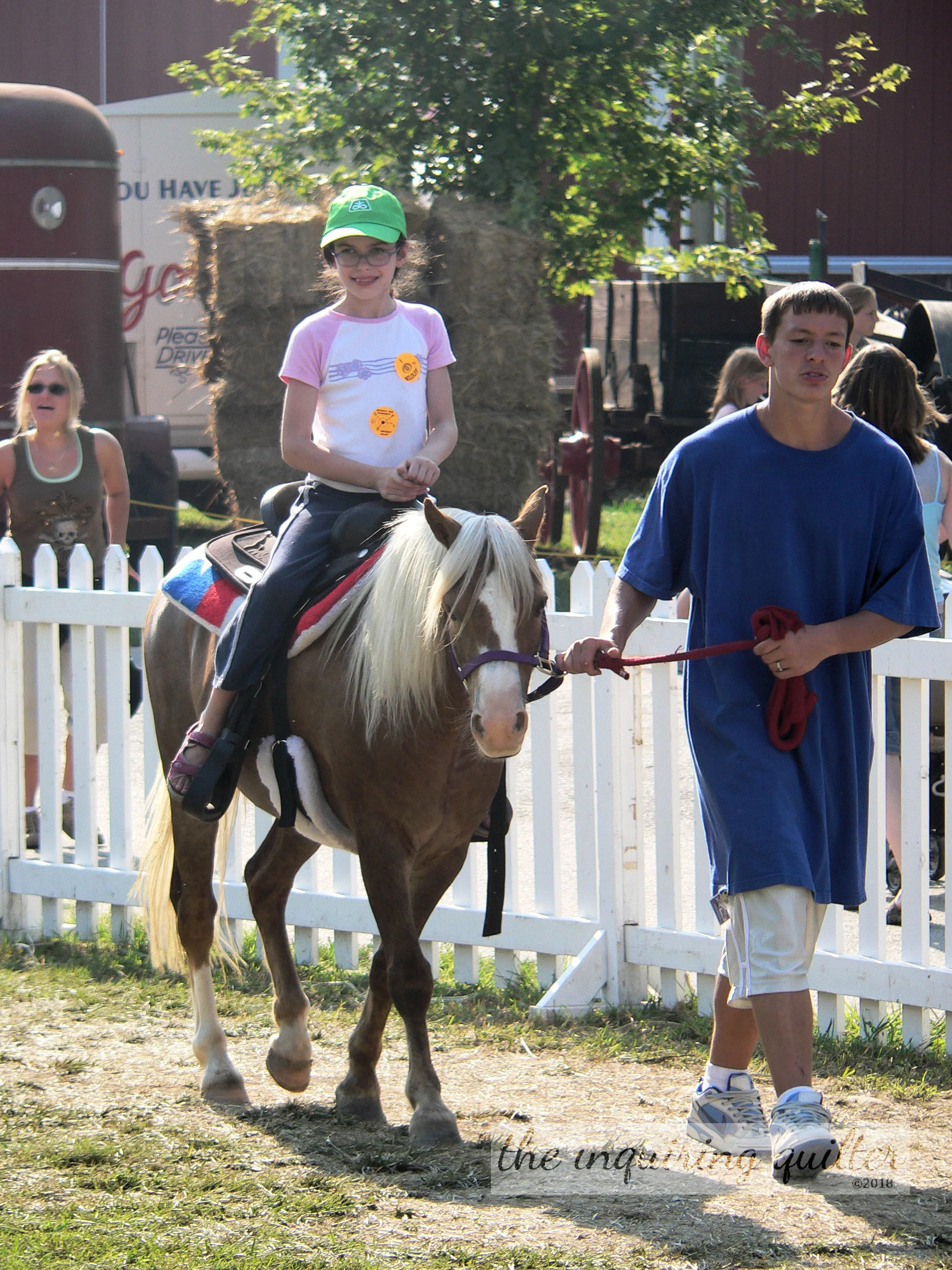 Horse 1.jpg