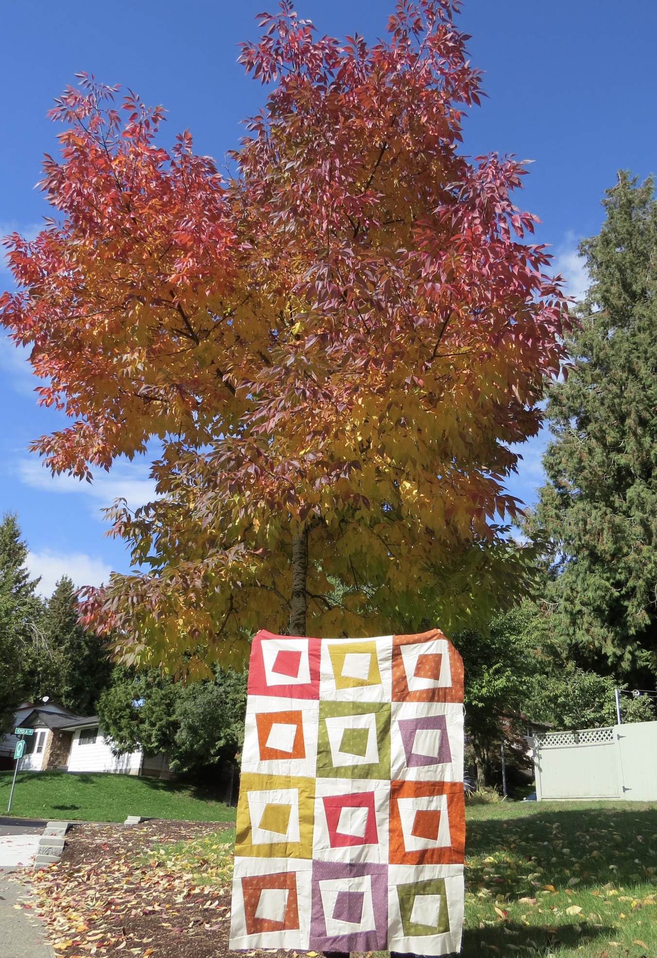 Gail serged quilt top 2.jpg