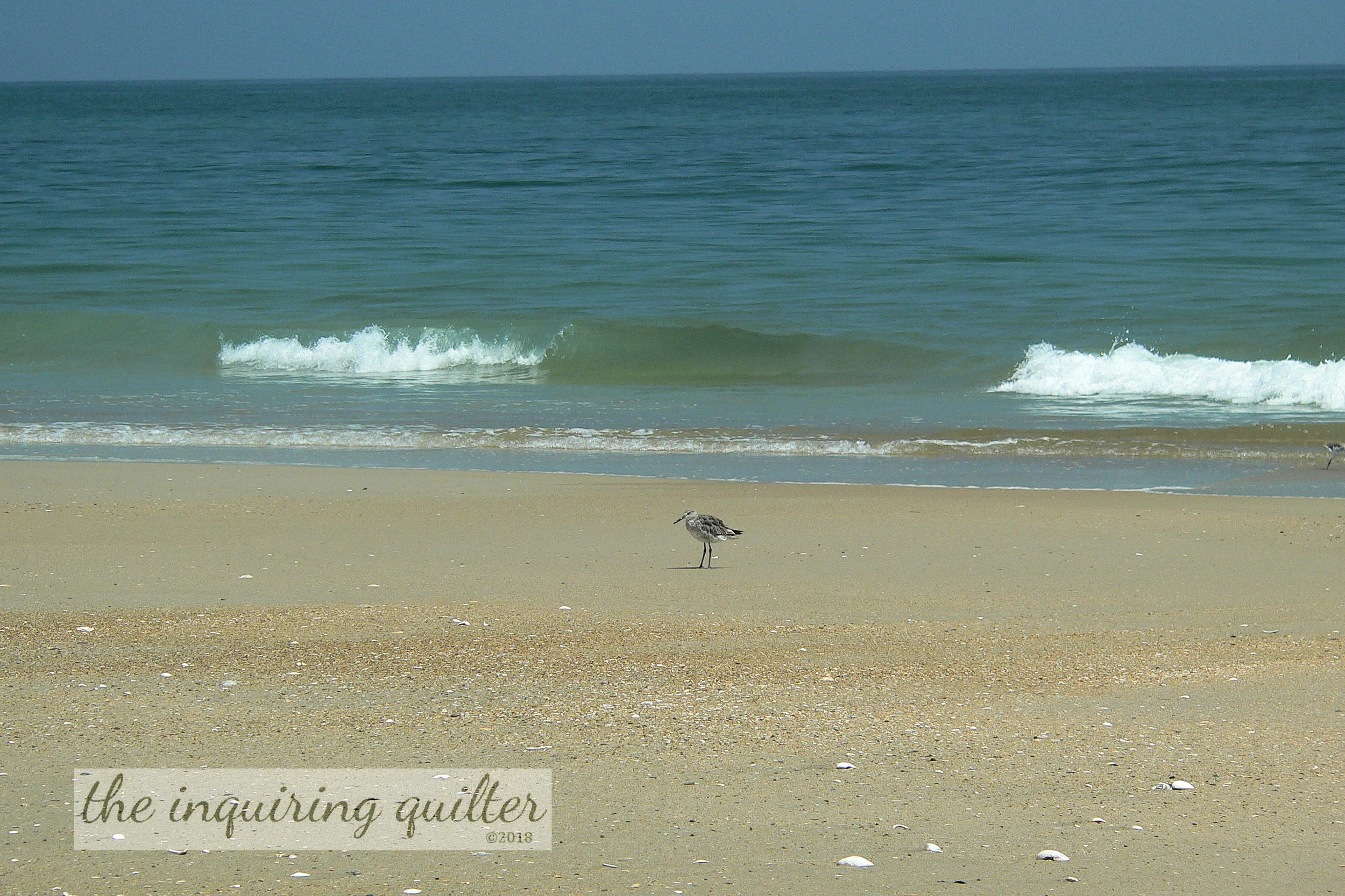 Beach 1.jpg