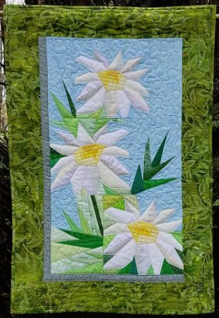 Lisa Daisies.jpg