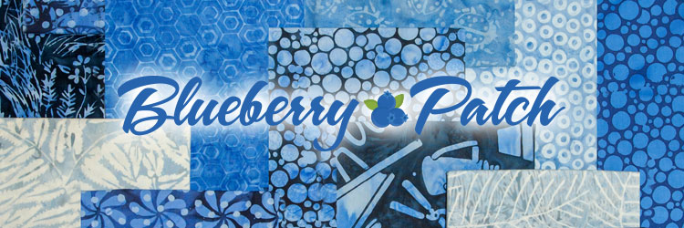 Blueberry-Patch-Banner.jpg