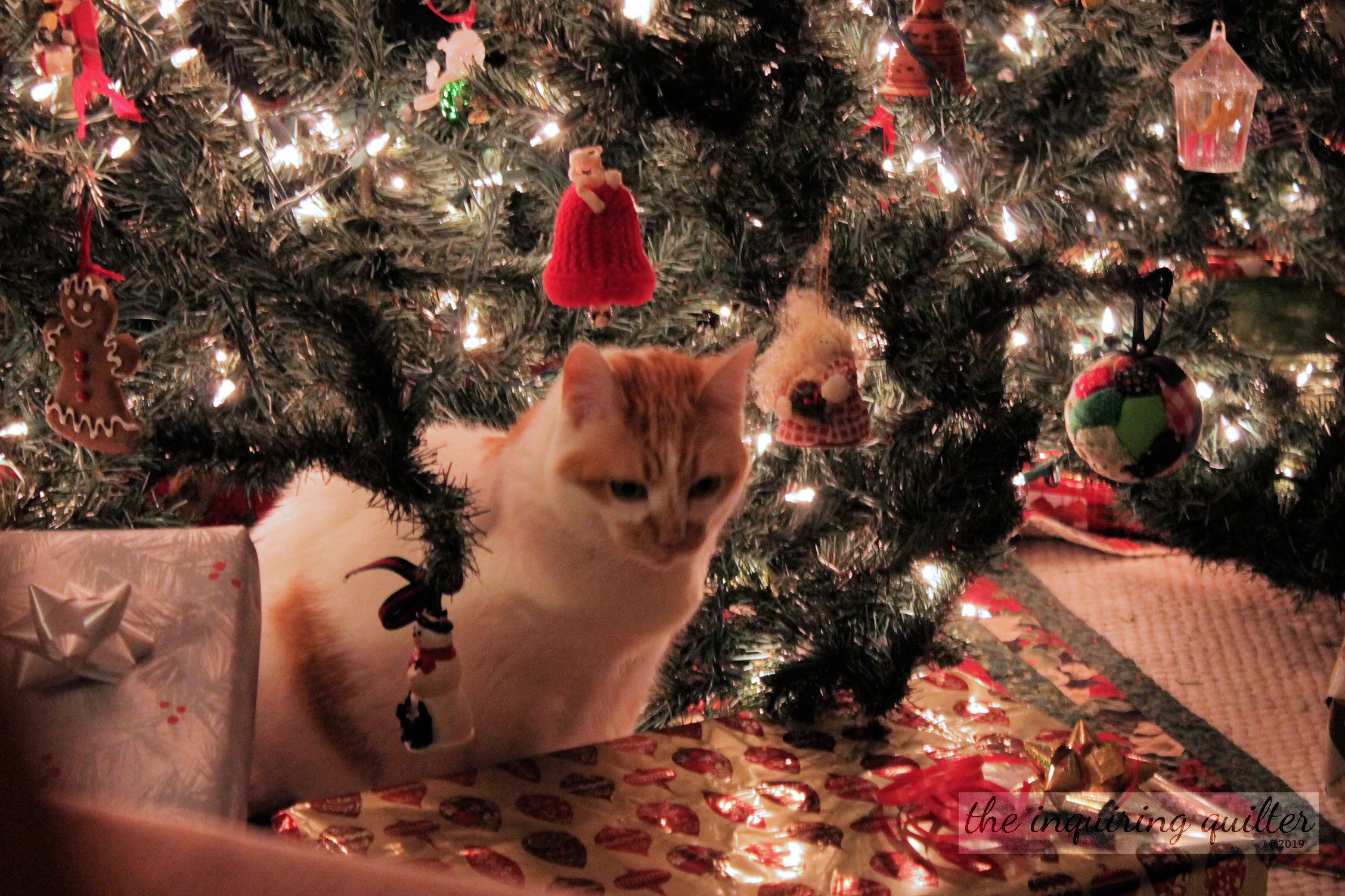 Lucy and presents 2014 1.jpg