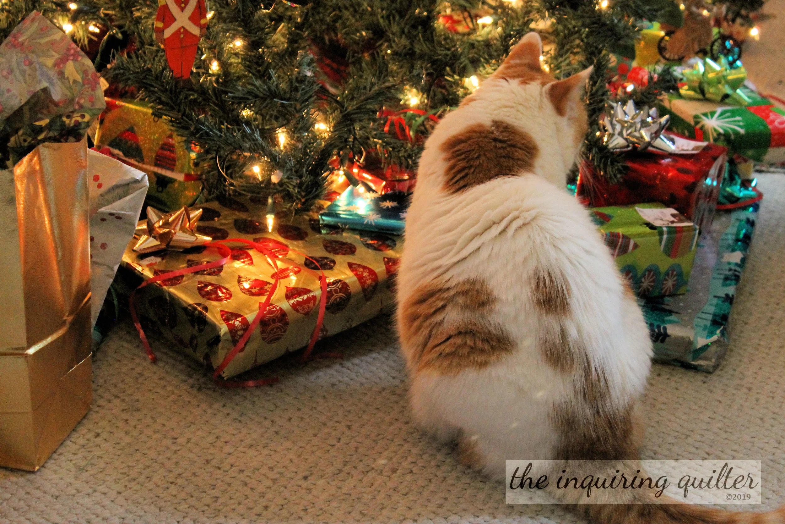 Lucy and gifts 2016.jpg