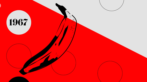 static1.squarespace.gif