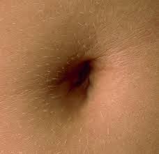  Relax... it's a bellybutton.