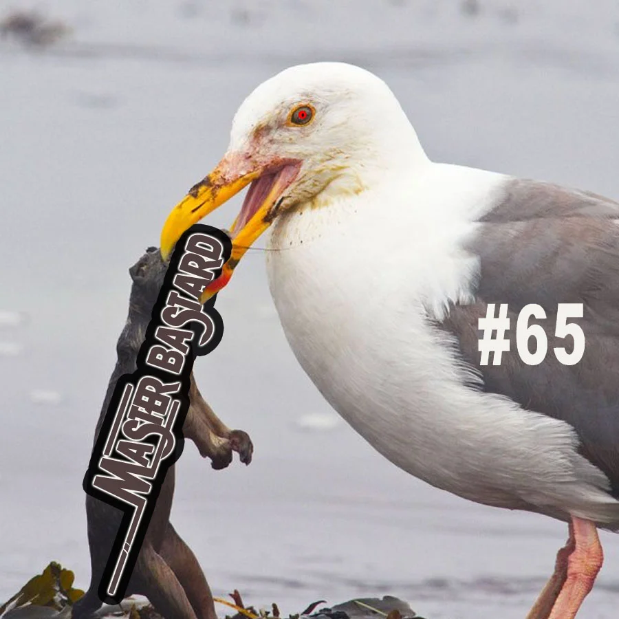 Master Bastard #65 - Are We Dangerous Here?