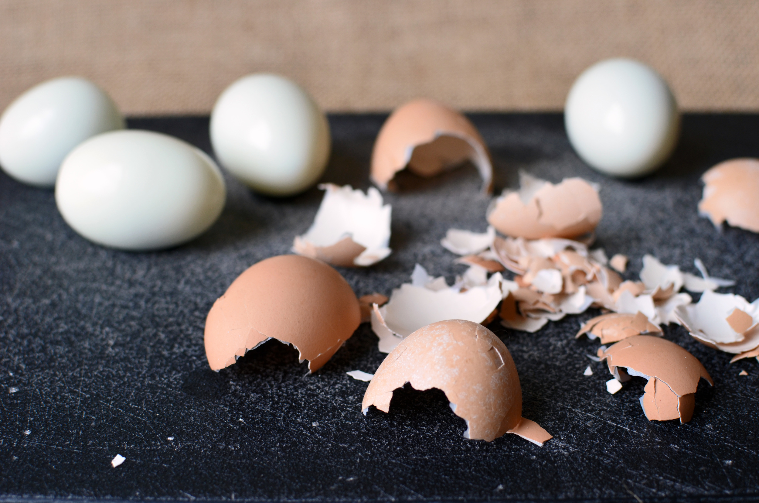 How to Peel Farm Fresh Eggs - ButterYum