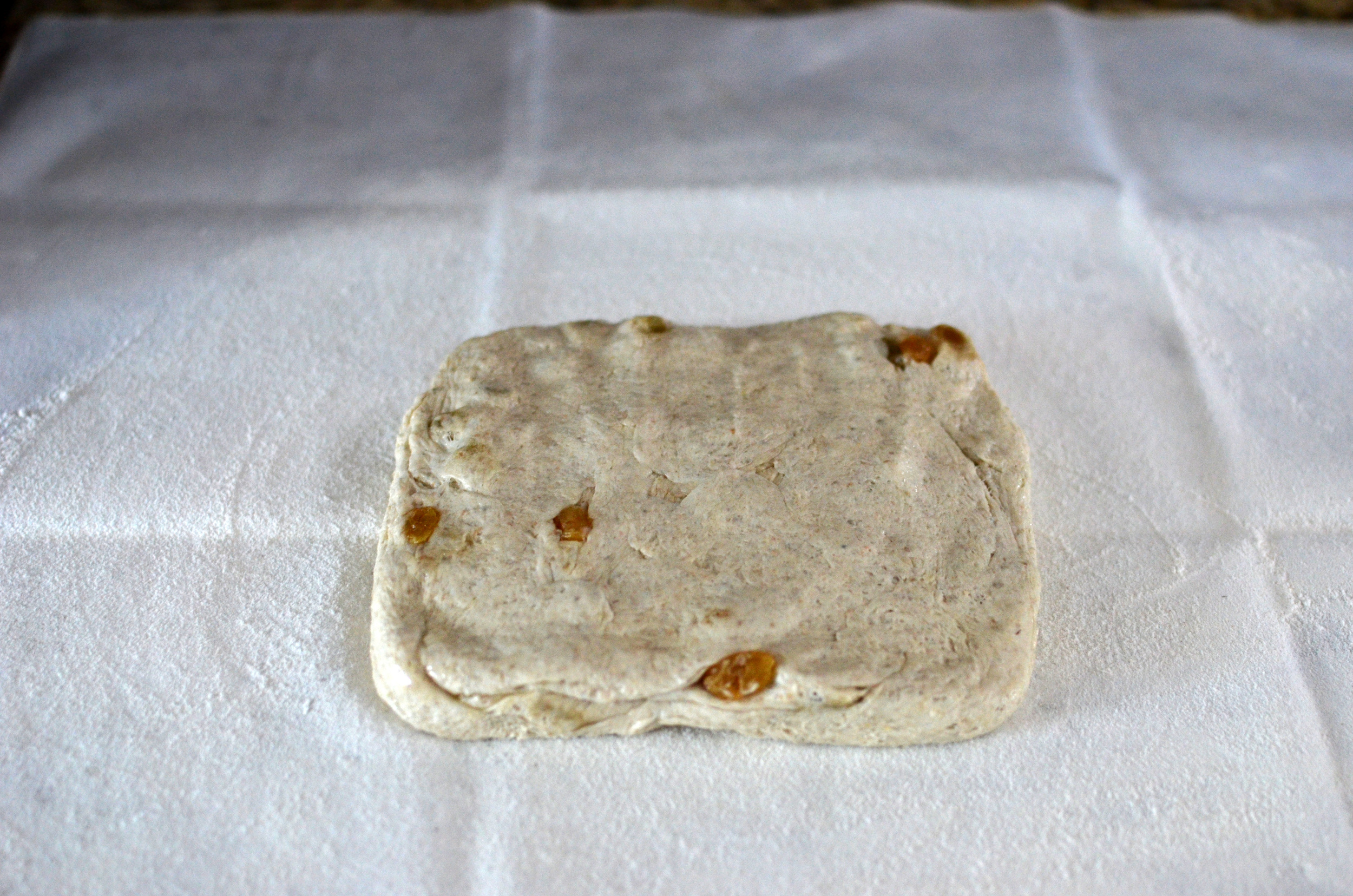 Press dough down to flatten it.