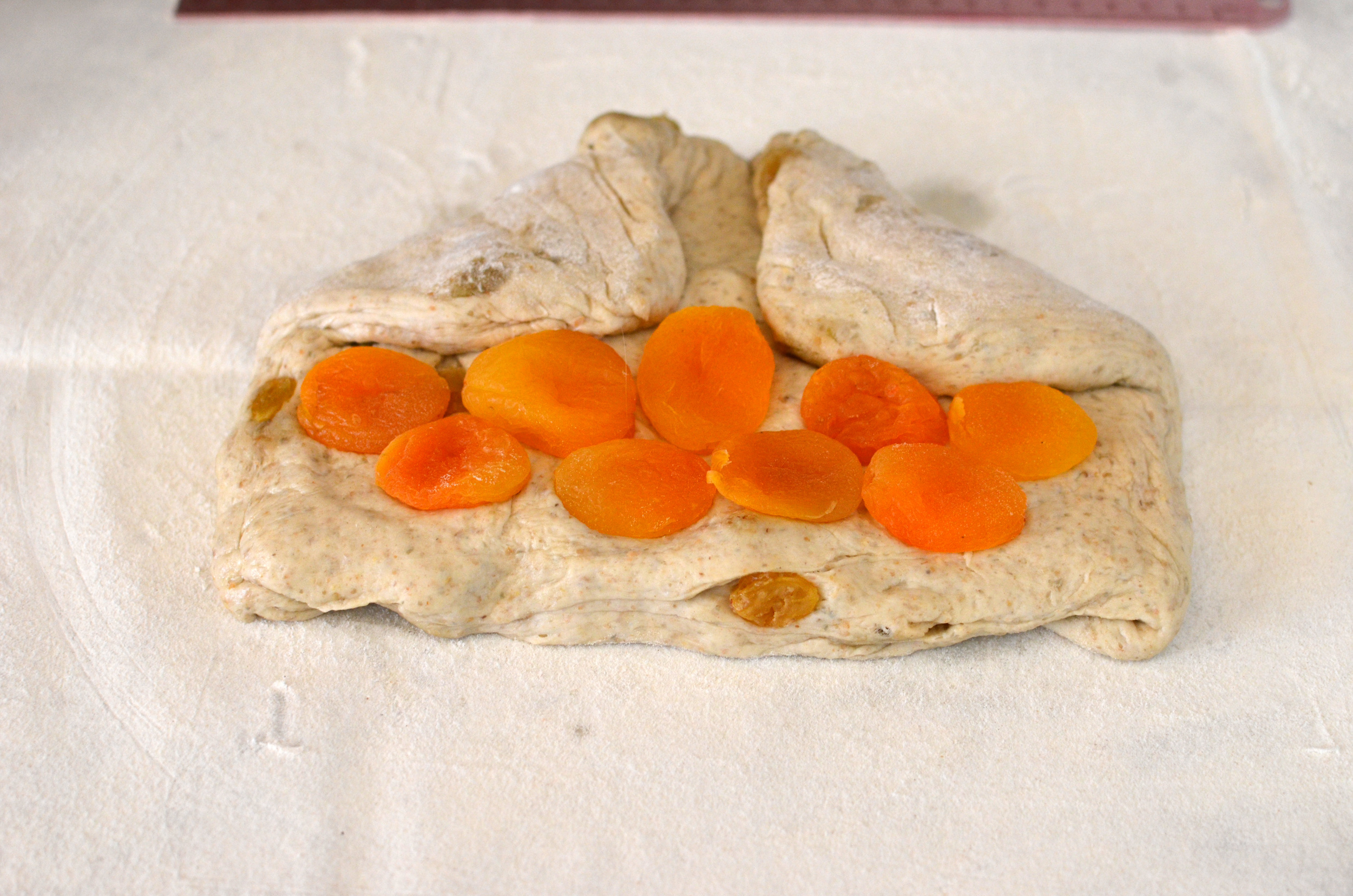 Stagger the dried apricots just below the folds. I weighed the exact amount of apricots, but ended up adding one more to make it look pretty. I also didn't place the apricots all the way to the edges of the dough because I was concerned doing so would prevent the loaf from staying closed. Not sure that really mattered, but that's what I was thinking. 
