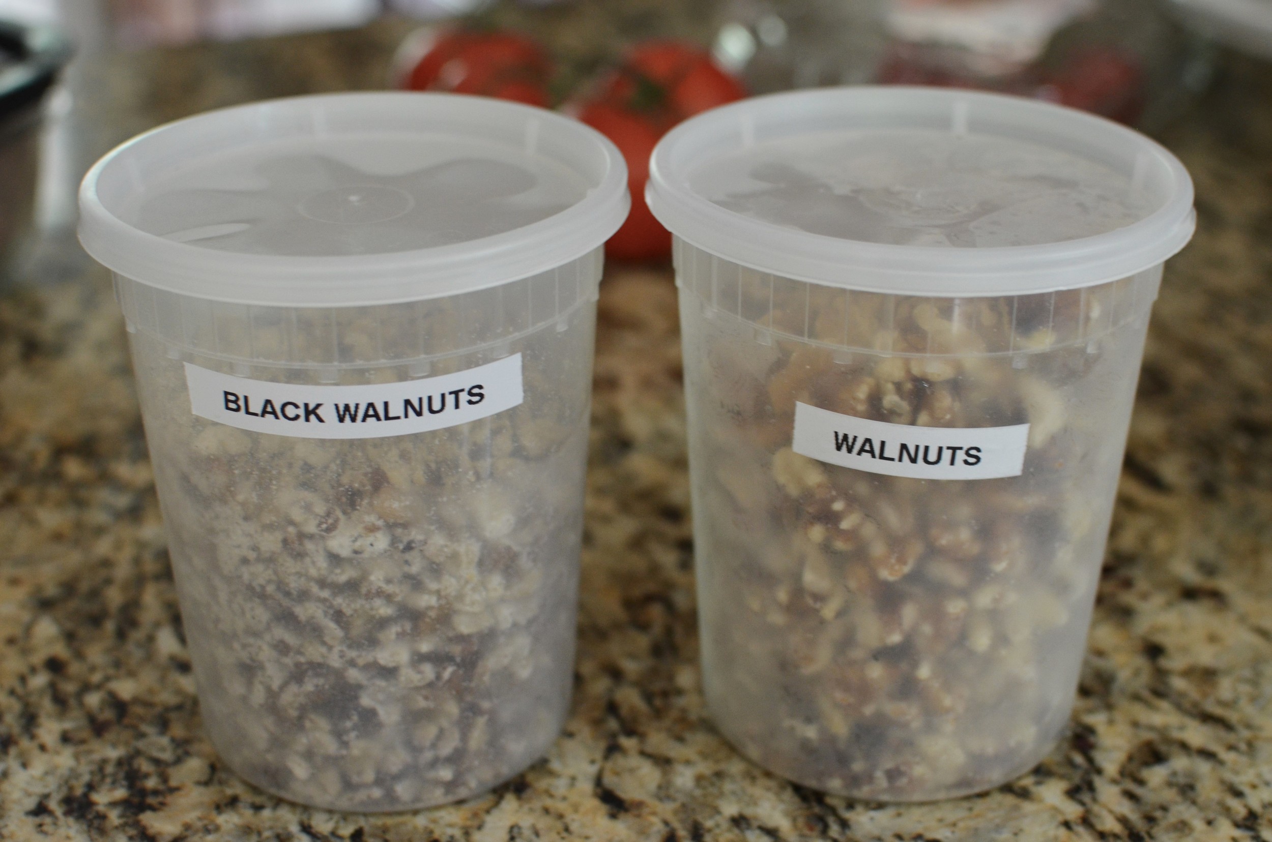 This recipe calls for English walnuts, but I think black walnuts taste amazing with chocolate so my plan was to make a half a batch with each. 