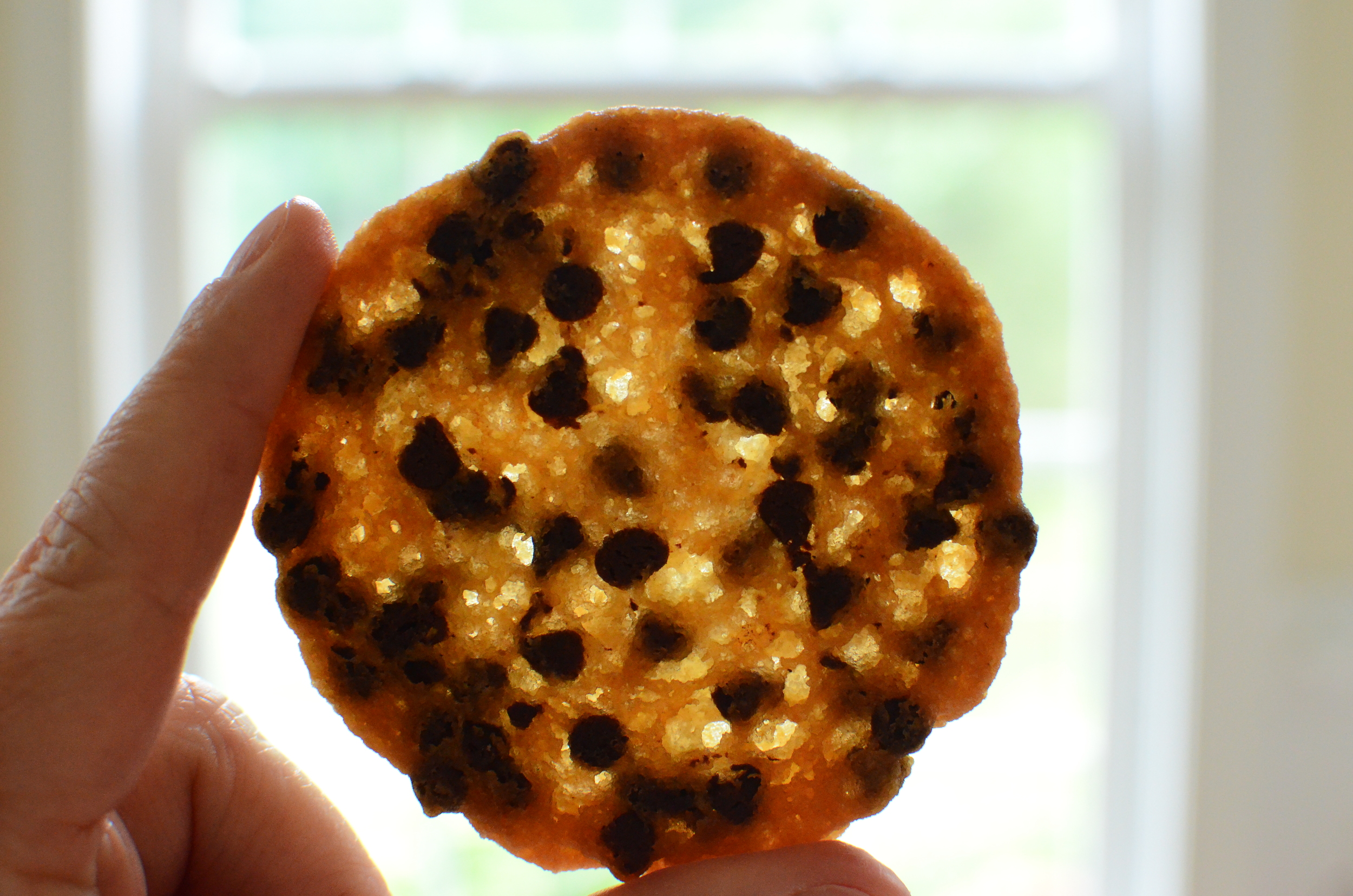 See how thin and lacy these cookies are? And get a load of all those mini chocolate chips. Be still my heart!